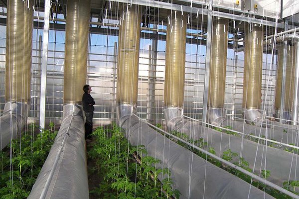 Зеркала на кракен kraken014 com