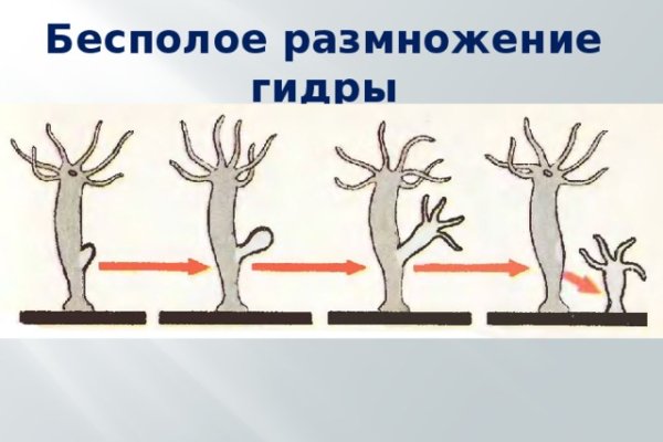 Кракен зеркало сайта