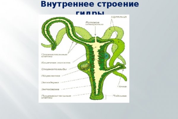 Какой кракен сейчас работает